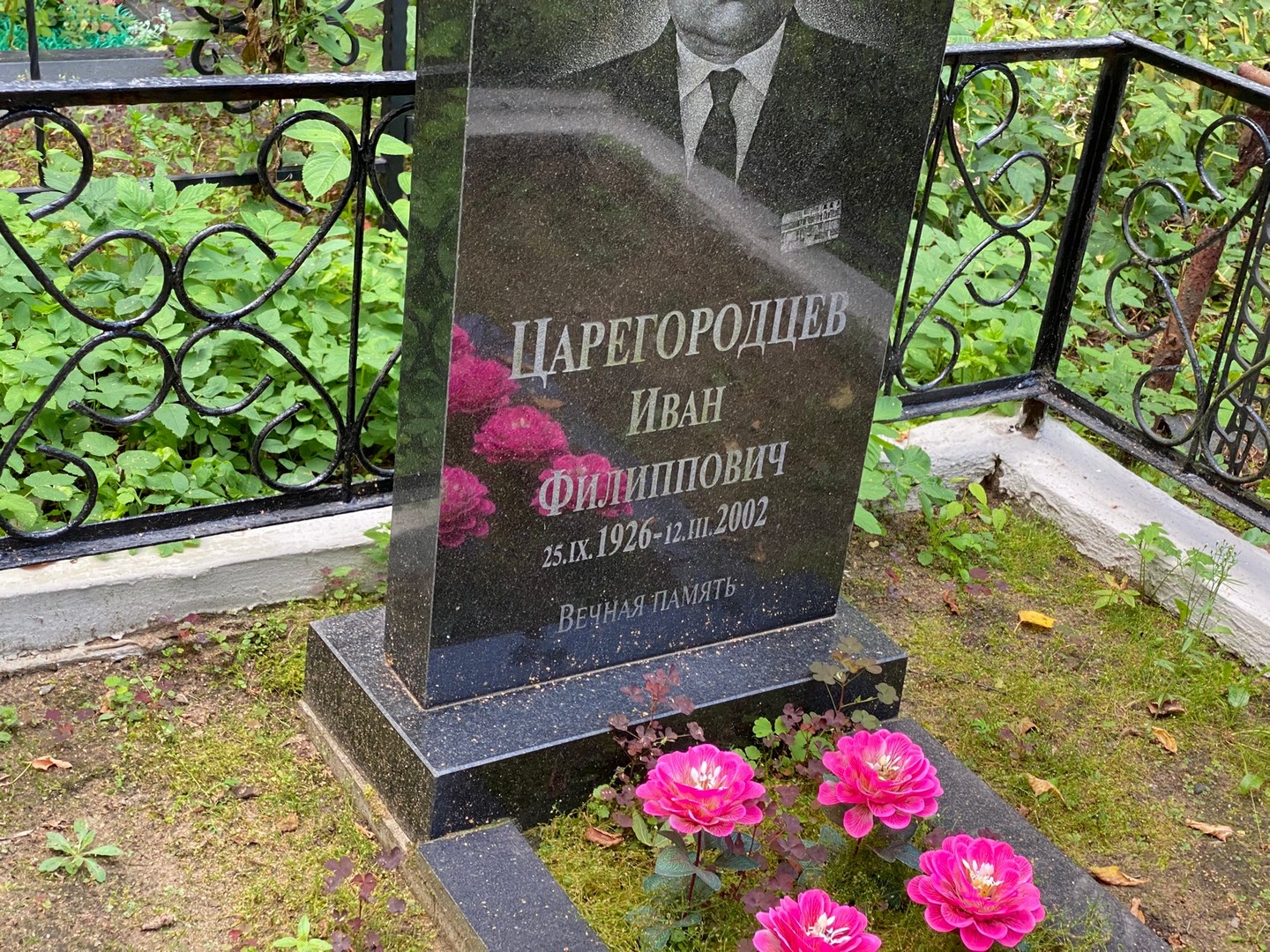 Царегородцев