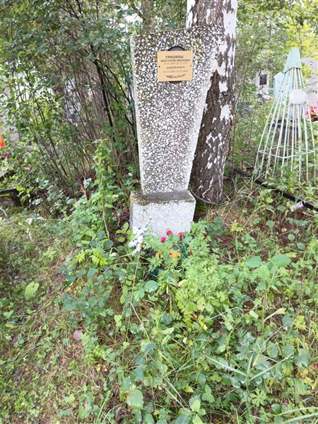 Гришин Андрей Ильич