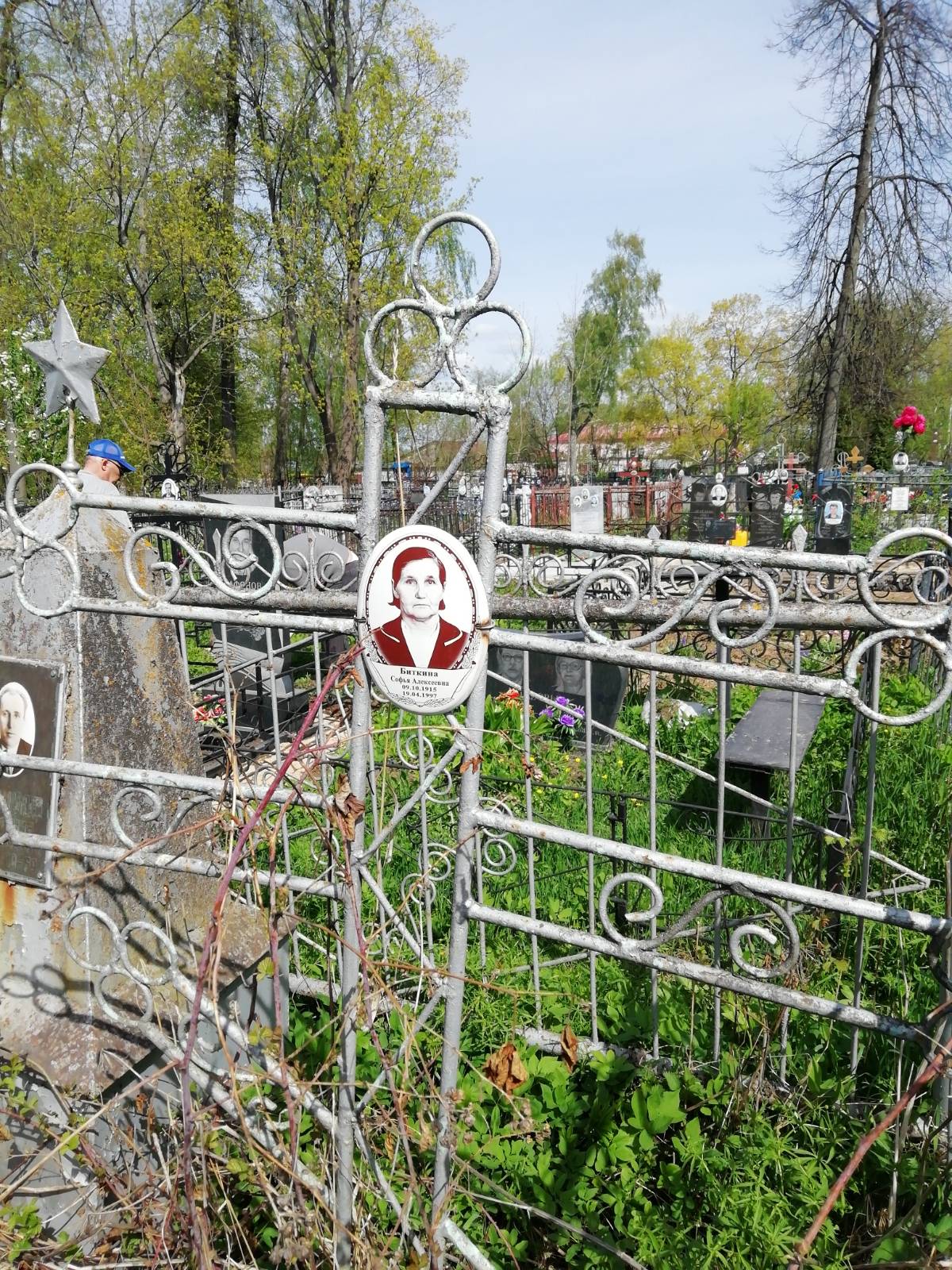 Биткина Софья Алексеевна