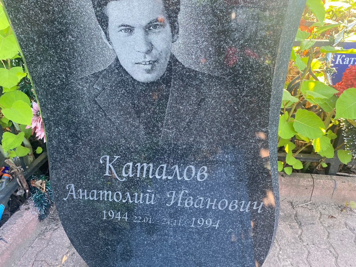 Каталов