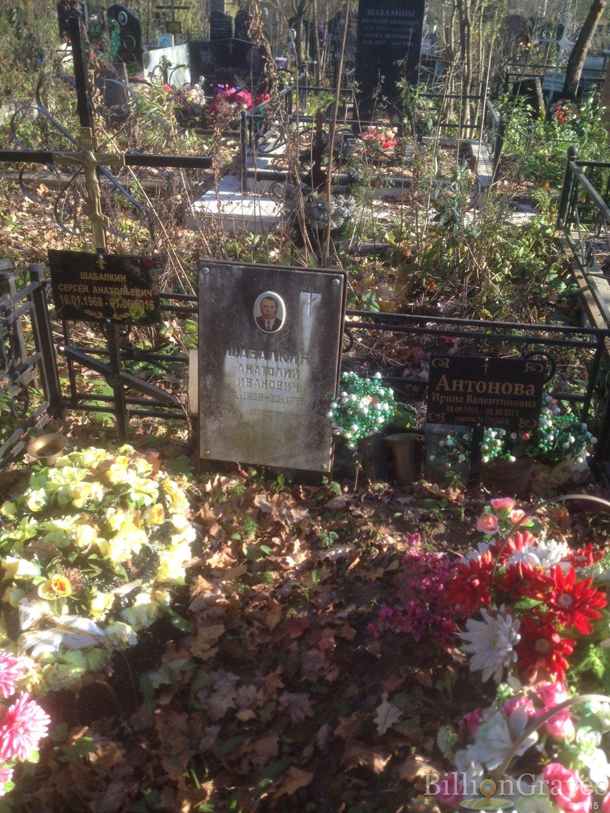 Антонова Ирина Валентиновна