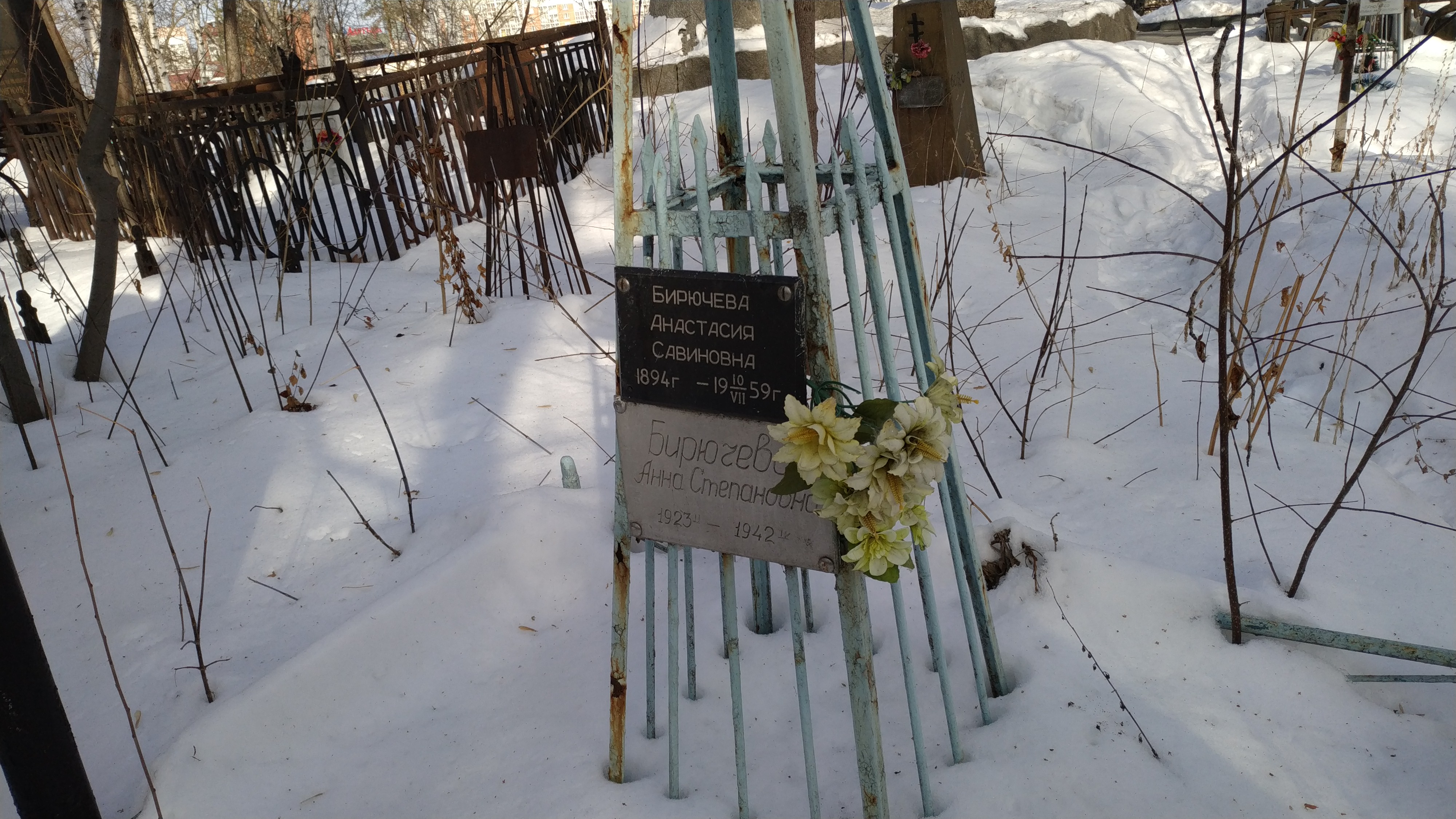 Бирючева Анастасия Савиновна