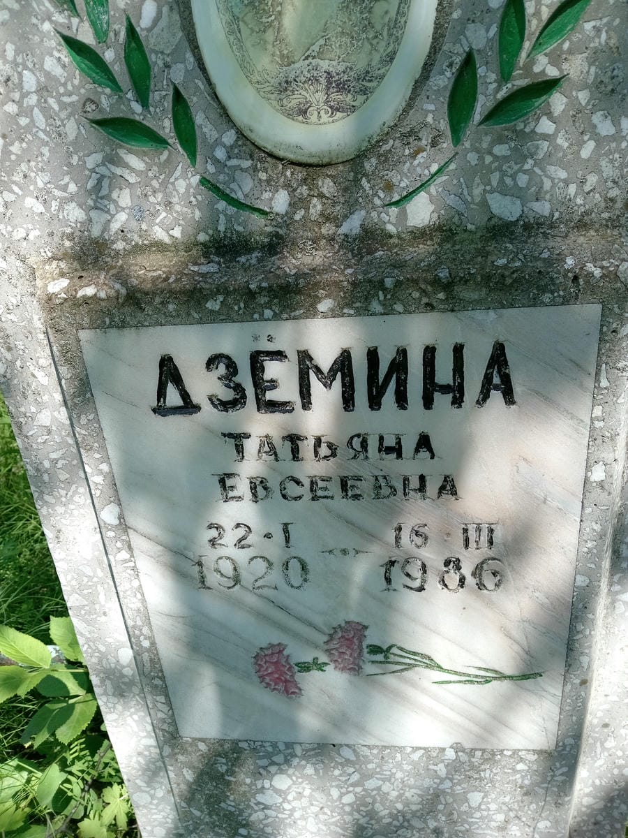 Дземина Татьяна Евсеевна