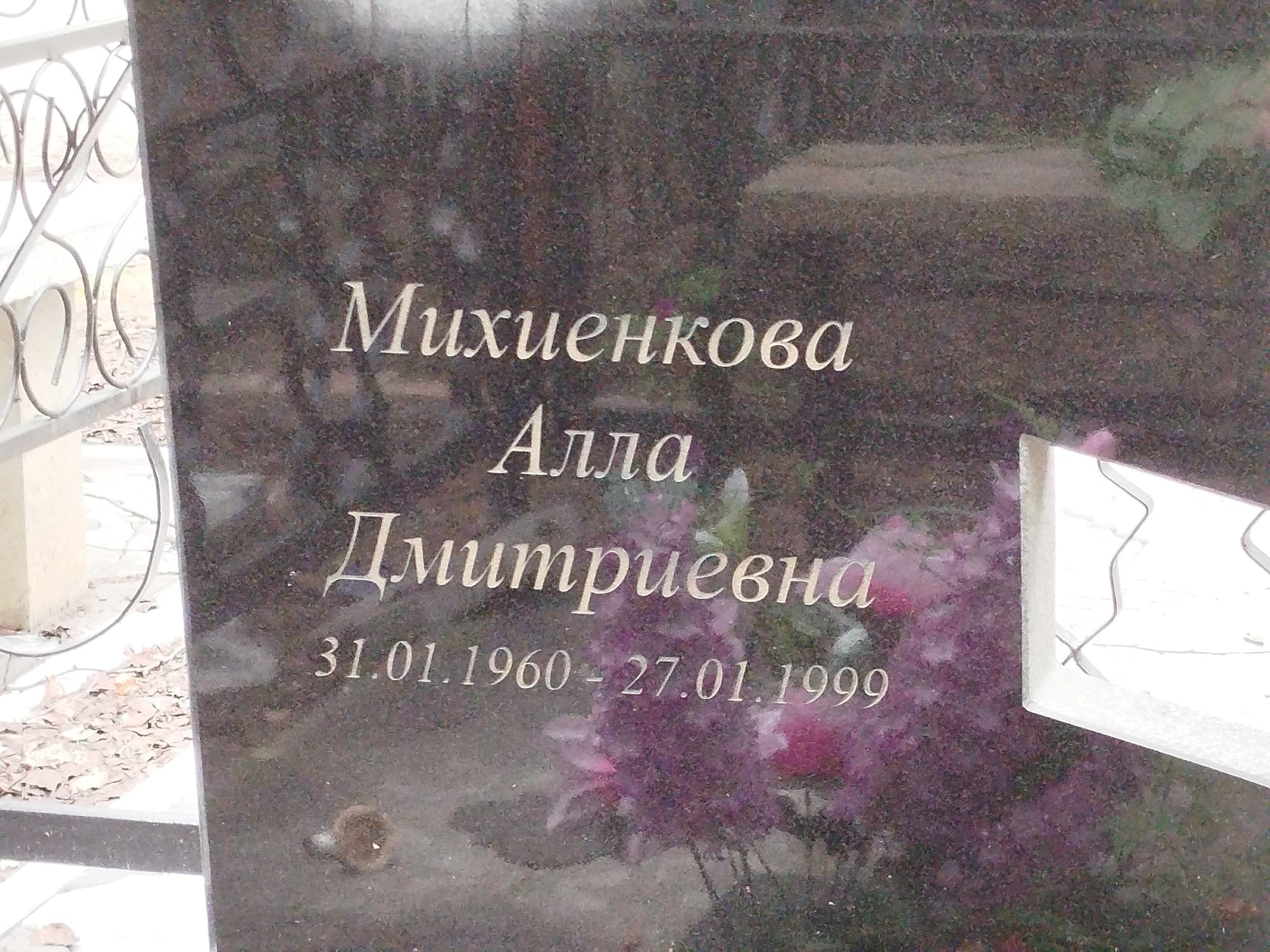 Михиенкова Алла Дмитриевна