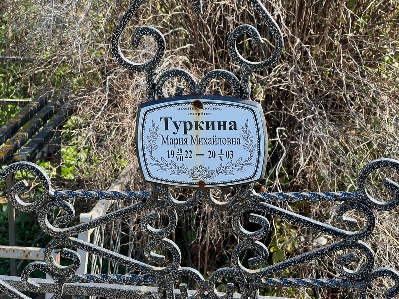 Туркина
