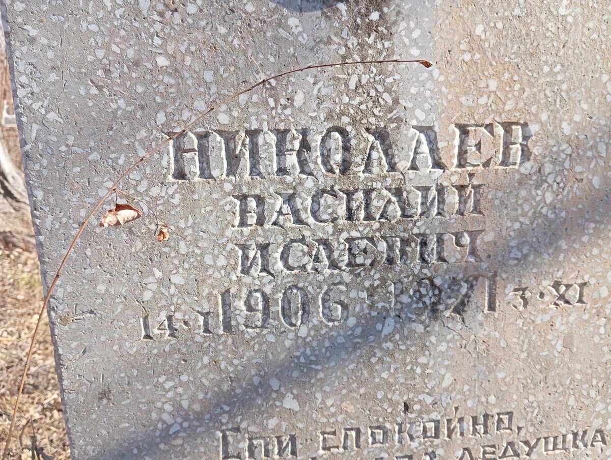 Николаев Василий Исаевич