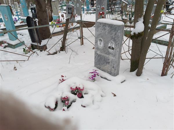 Мошонкина Екатерина Николаевна