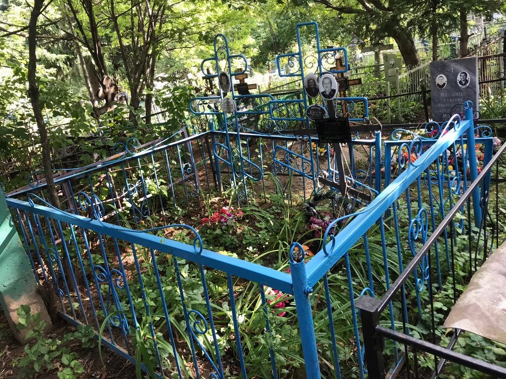 Колчина Анна Андреевна