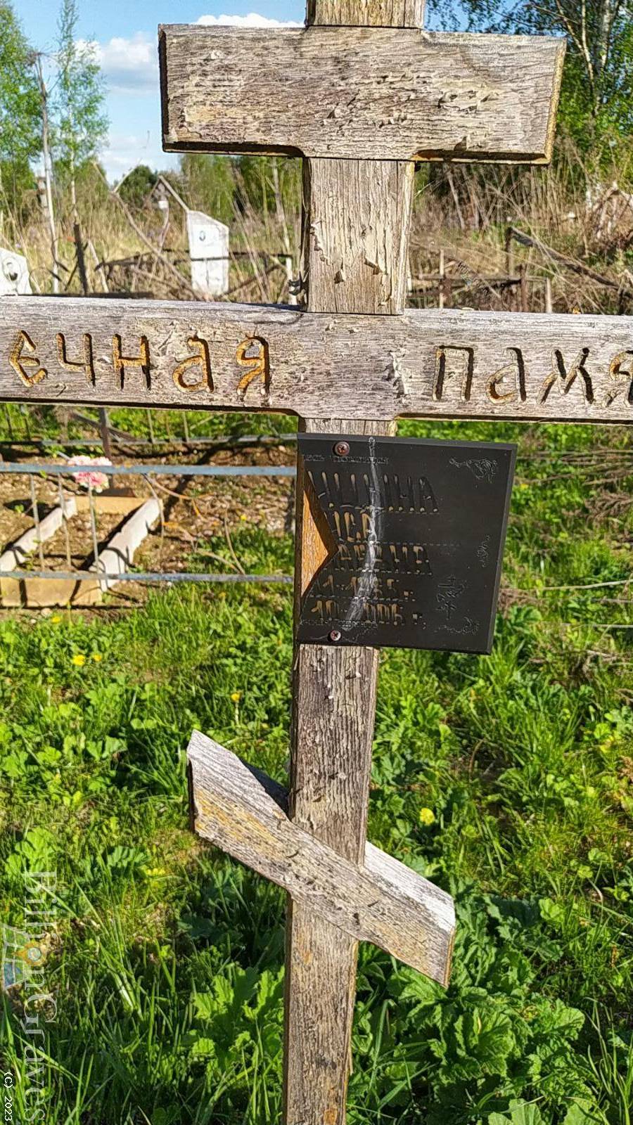 Синицына Лариса Николаевна