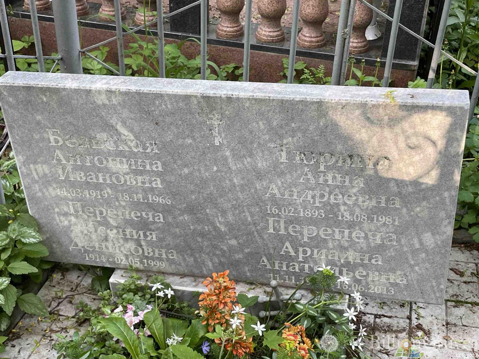 Перепеча Ариадна Анатольевна