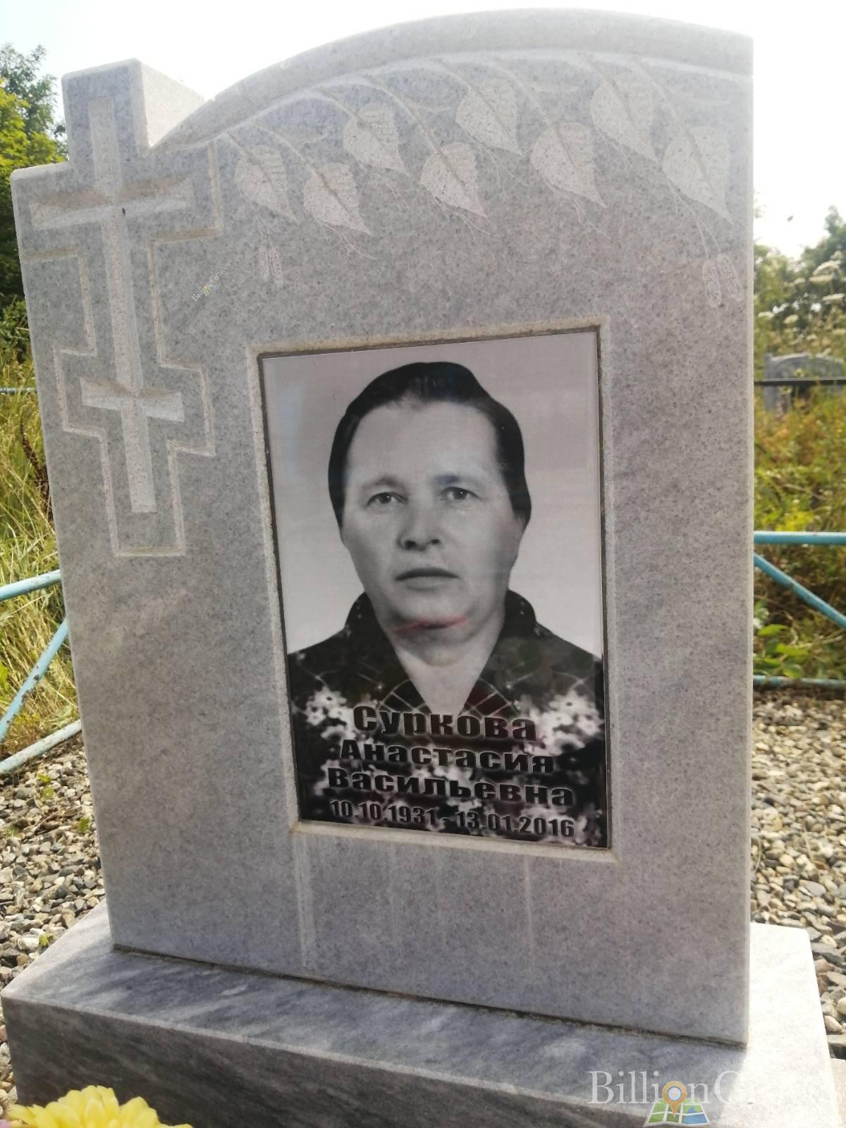 Суркова Анастасия Васильевна