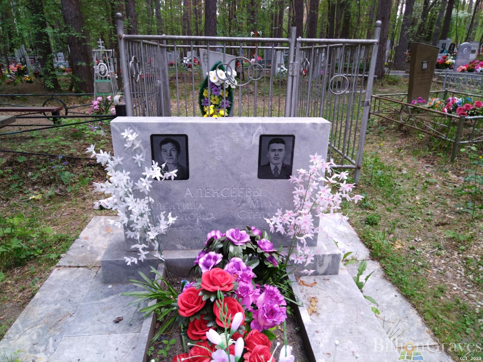 Алексеев Михаил Степанович