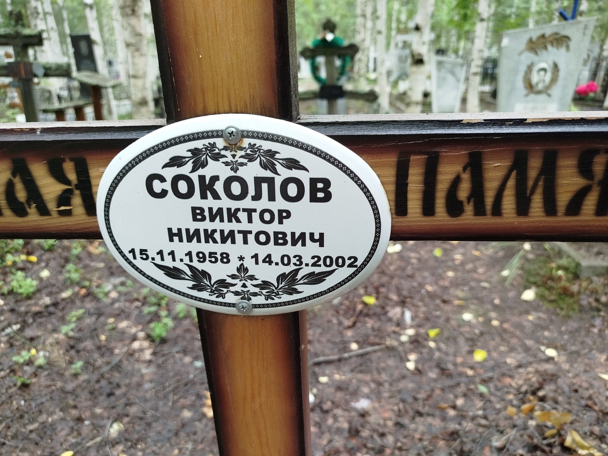 Соколов Виктор Никитович