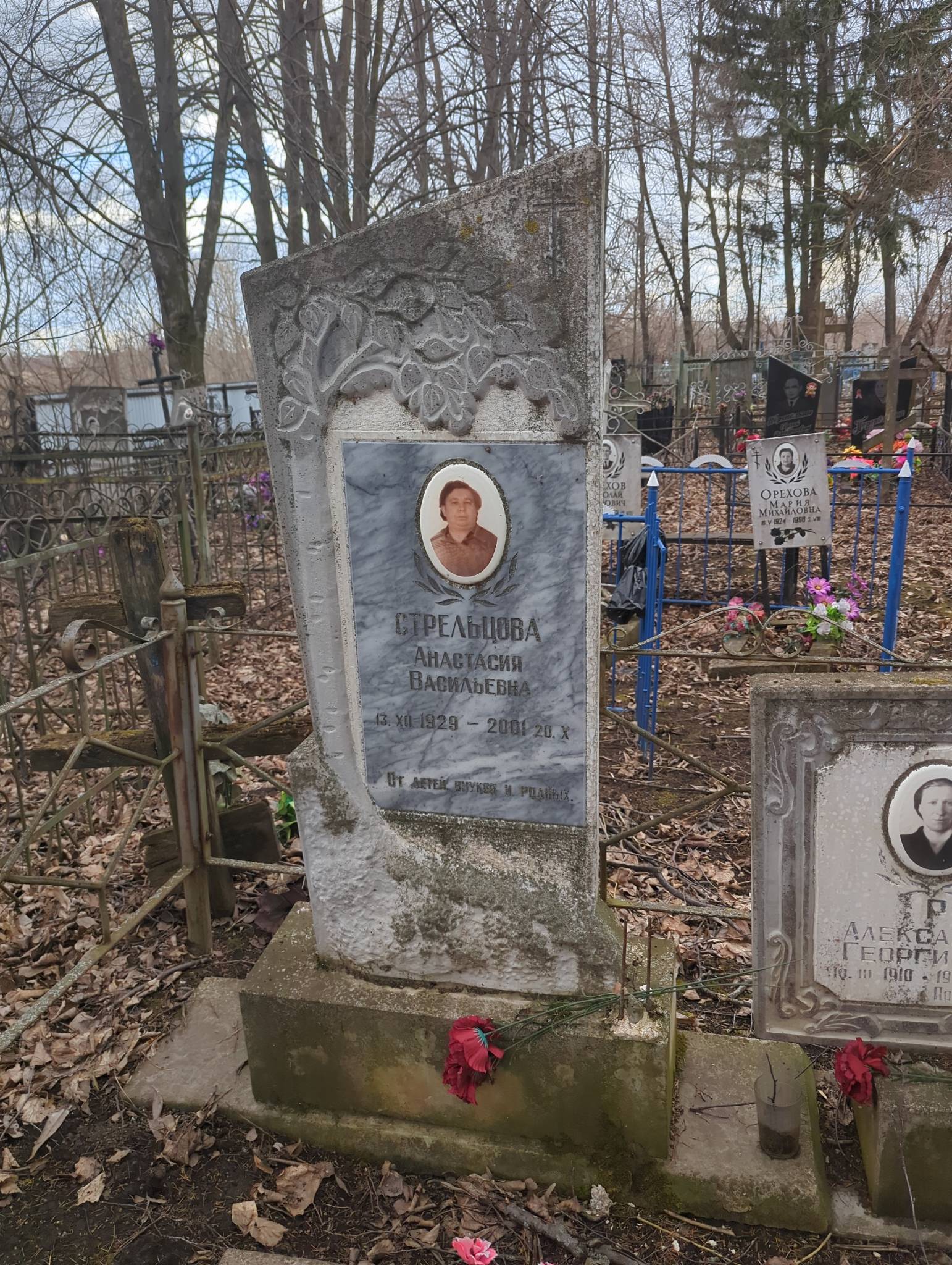 Стрельцова Анастасия Васильевна