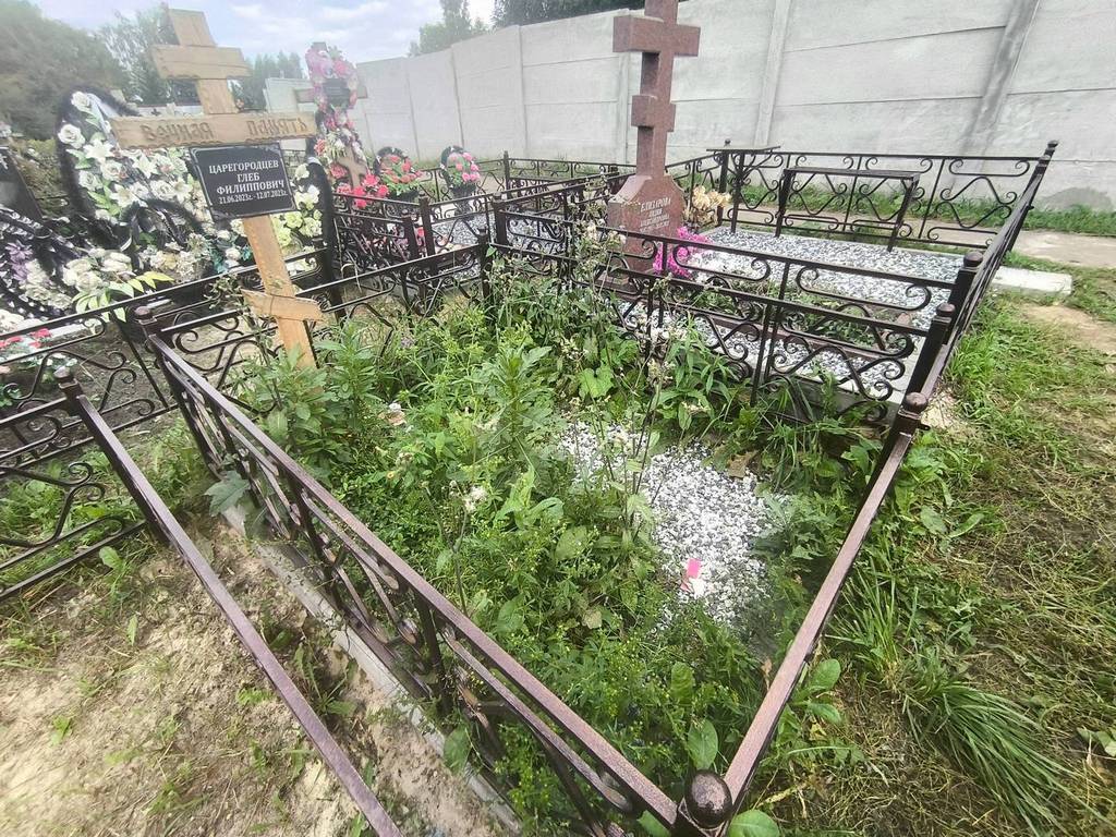 Царегородцев Глеб Филиппович