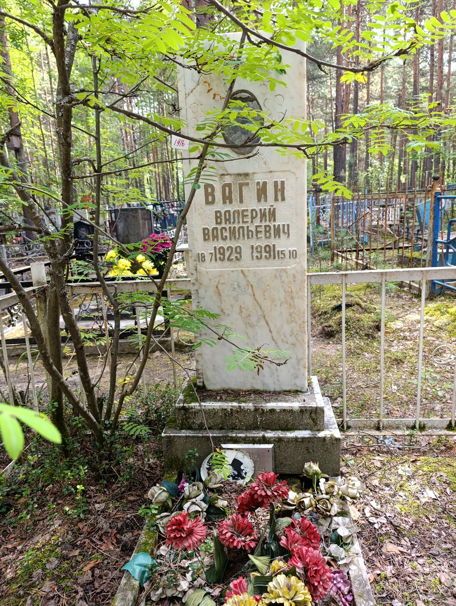 Вагин Валерий Васильевич