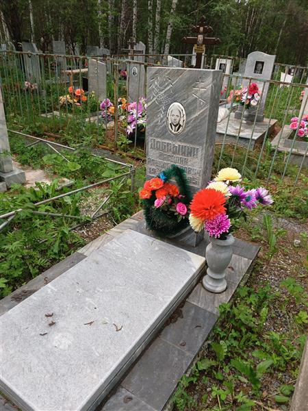 Добрынин Василий Александрович