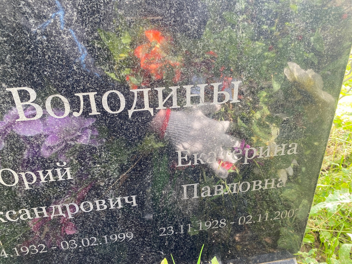 Володина