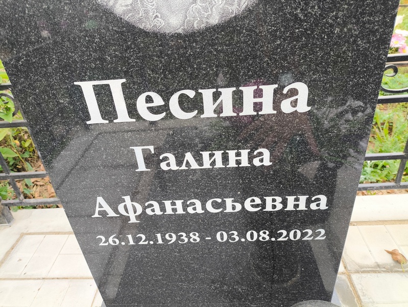 Песина