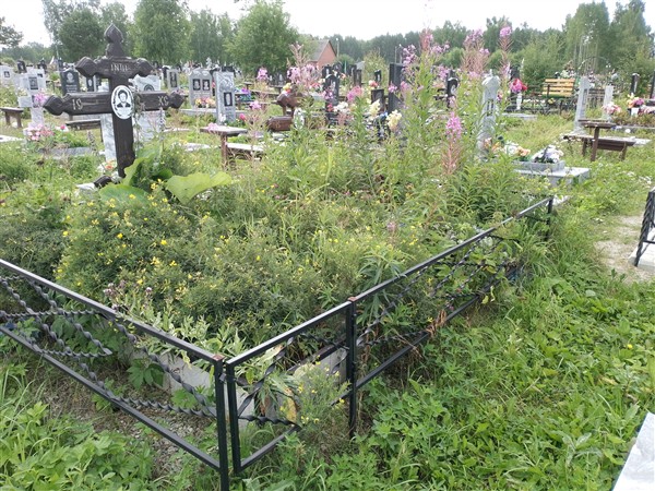 Брышцева Юлия Михайловна