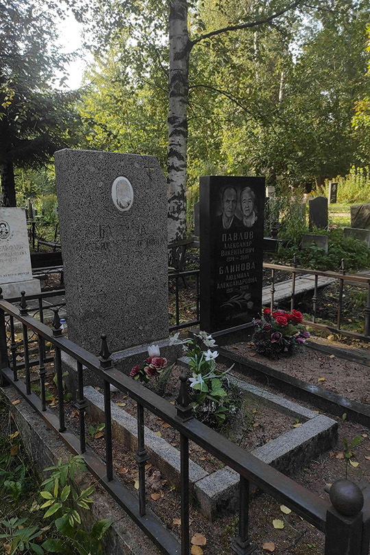 Павлов Александр Викентьевич