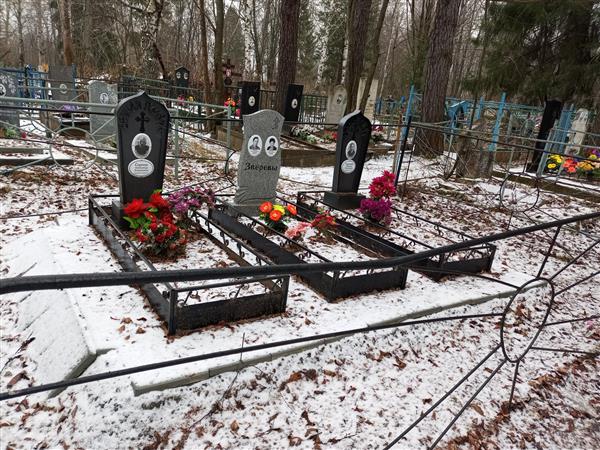 Зверева Александра Алексеевна