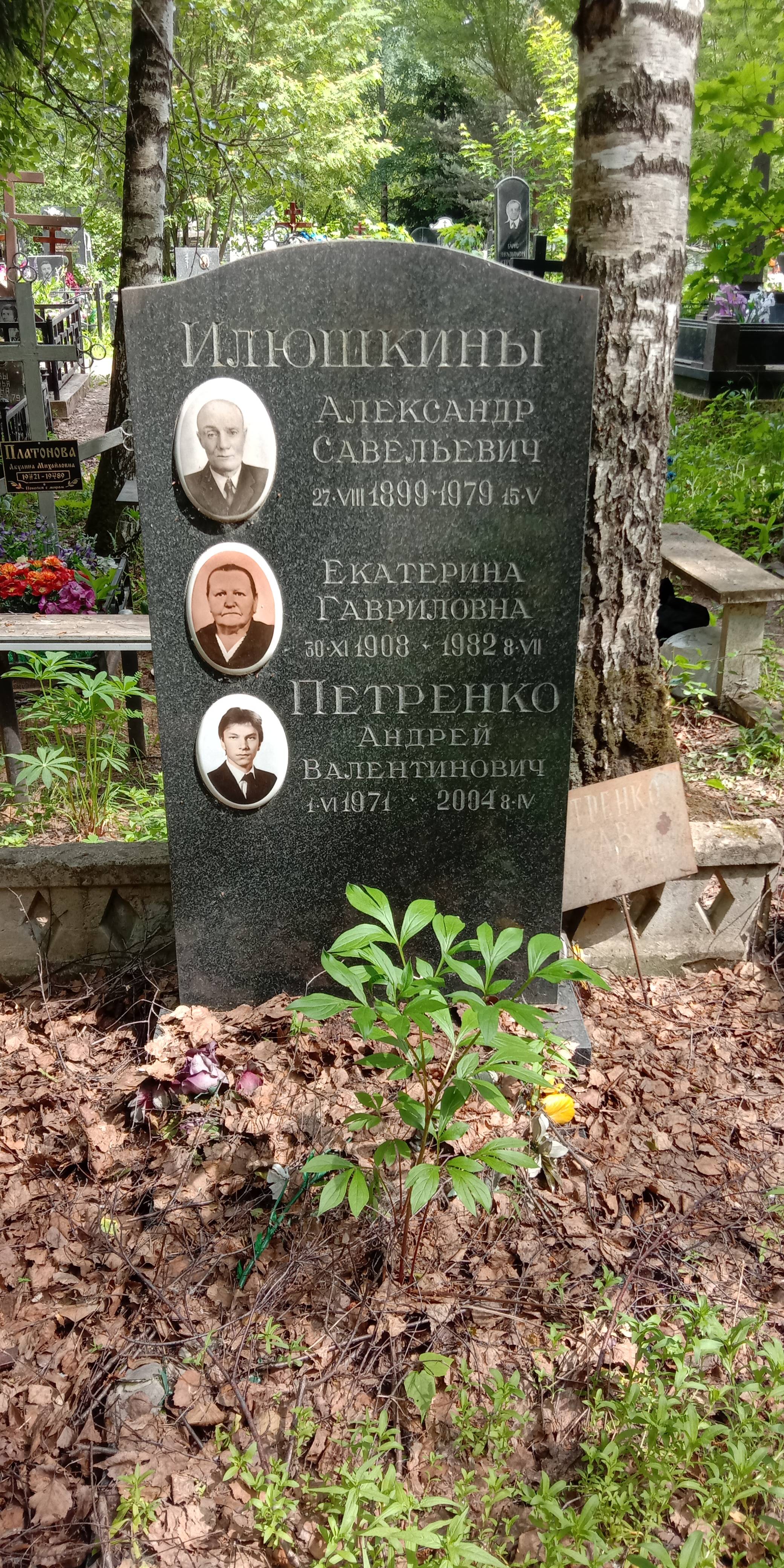 Илюшкин Александр Савельевич