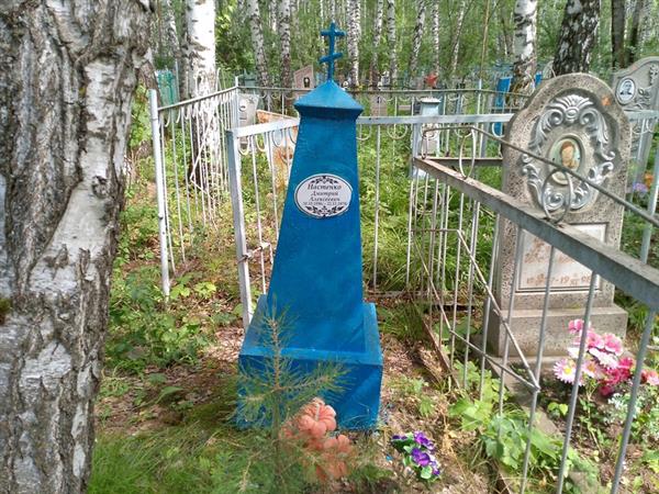 Настенко Дмитрий Алексеевич