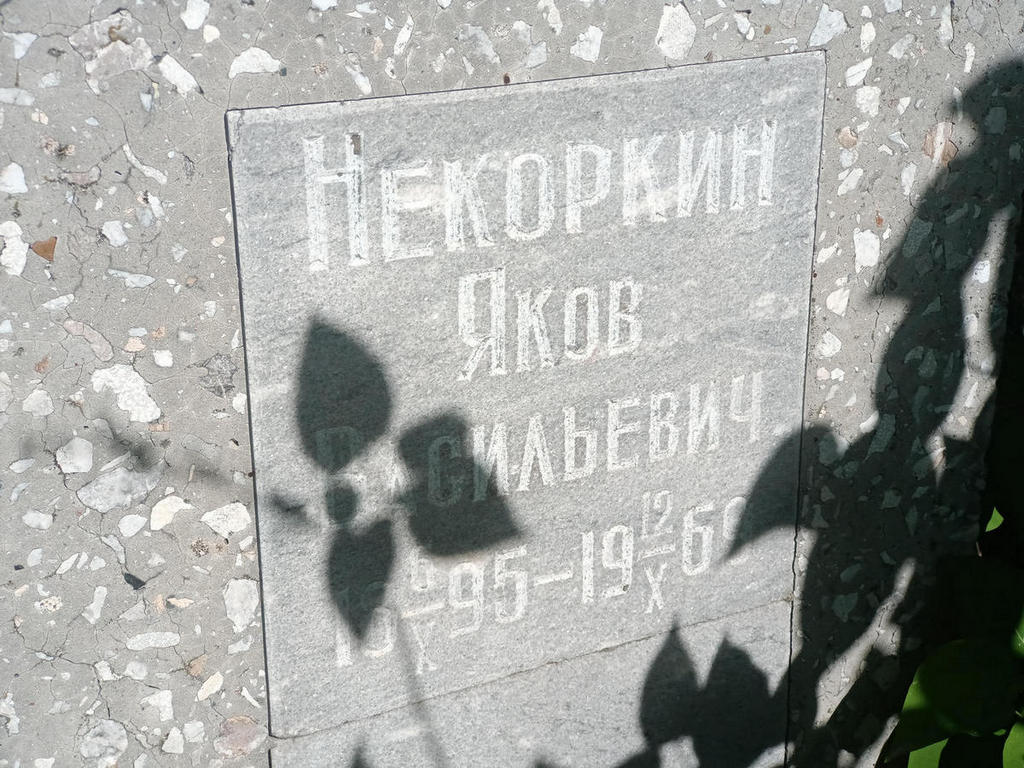 Некоркин Яков Васильевич