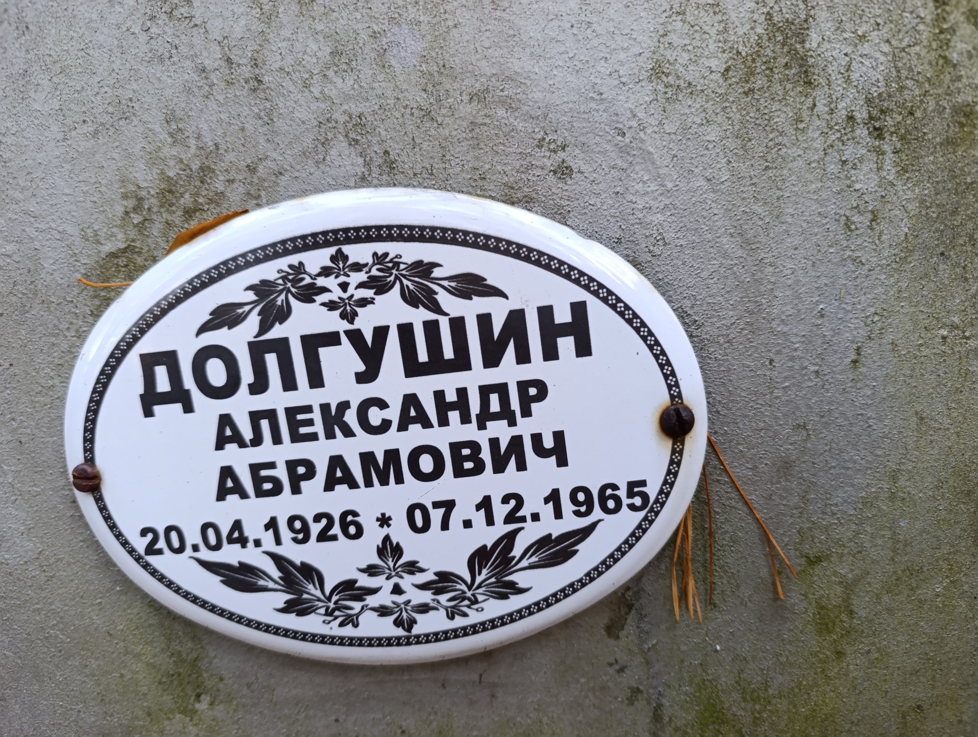 Долгушин Александр Абрамович