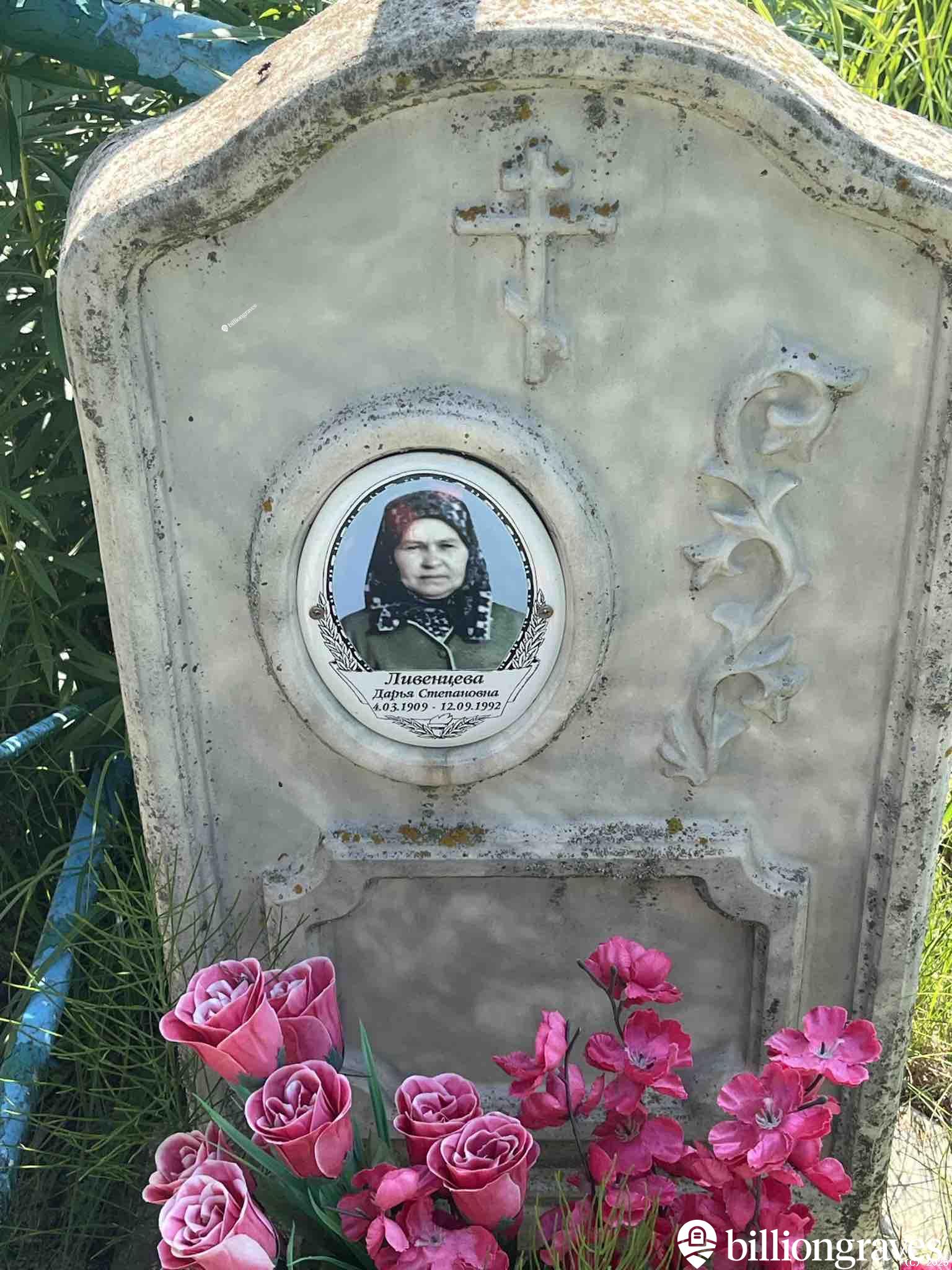 Ливенцева Дарья Степановна