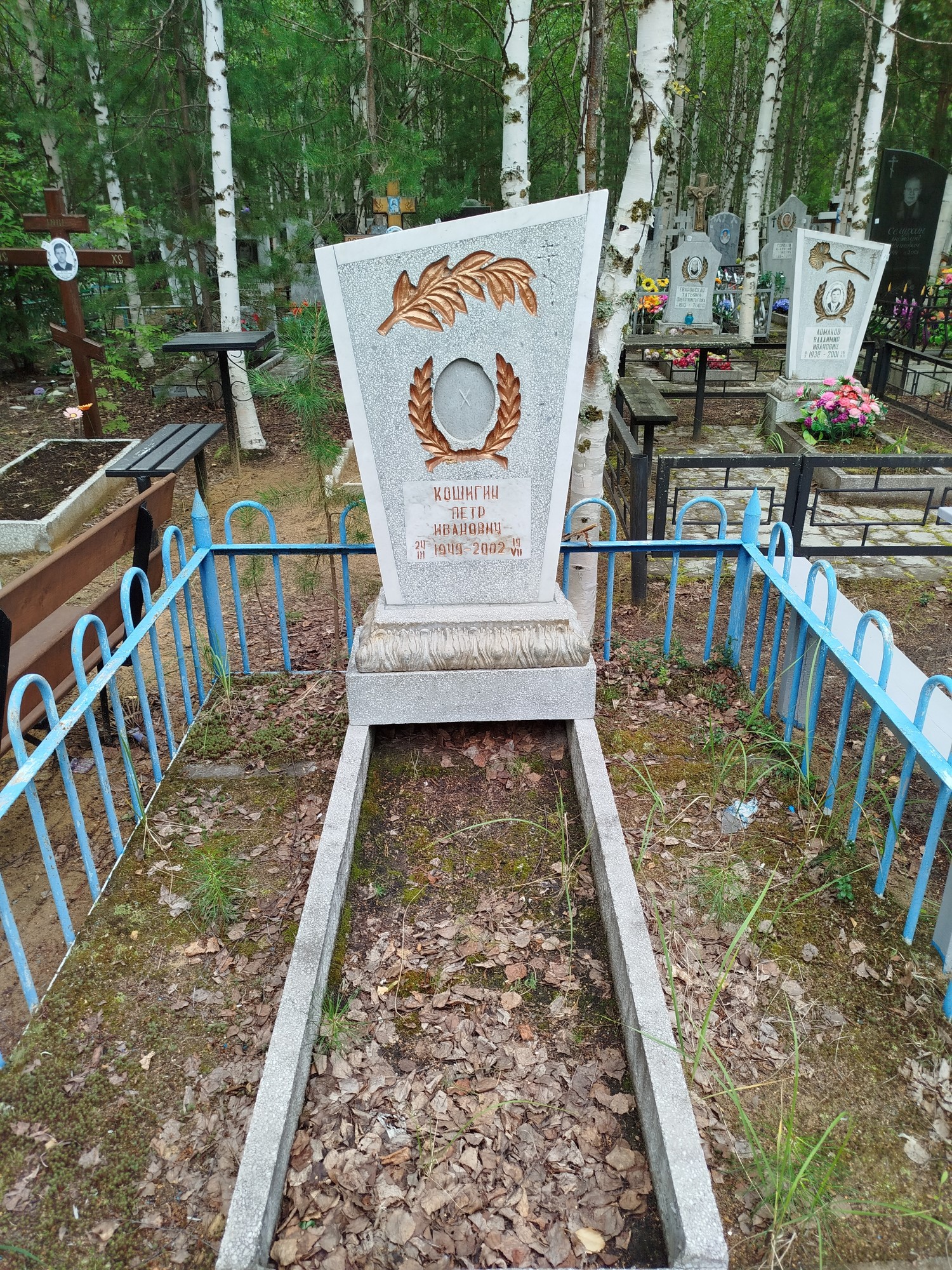 Кошигин Петр Иванович