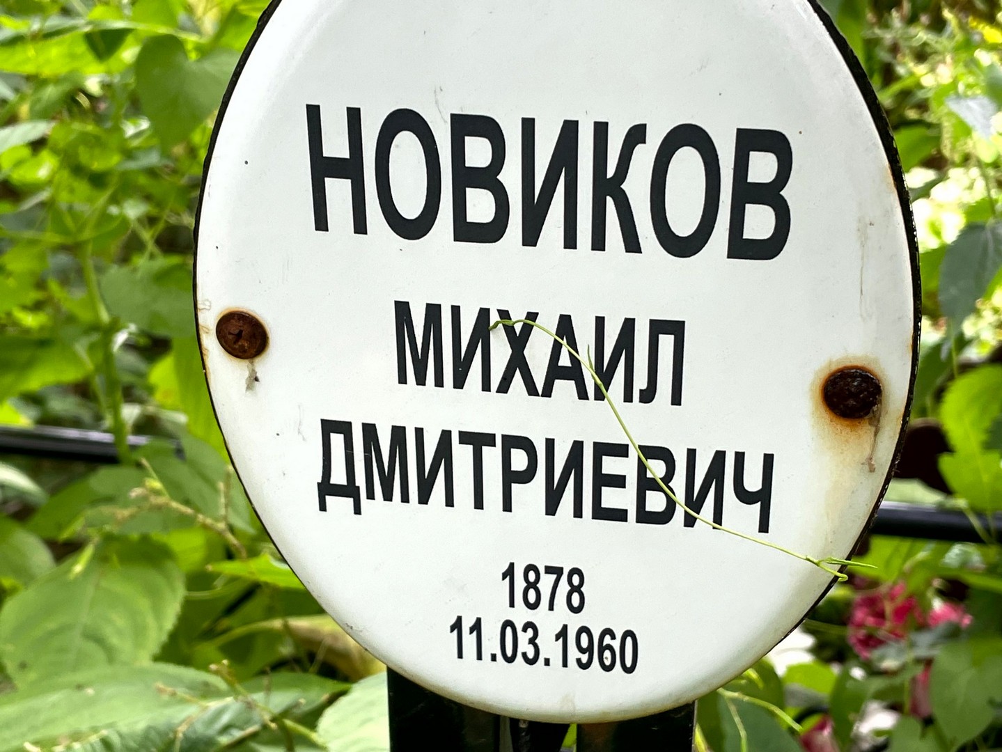 Новиков