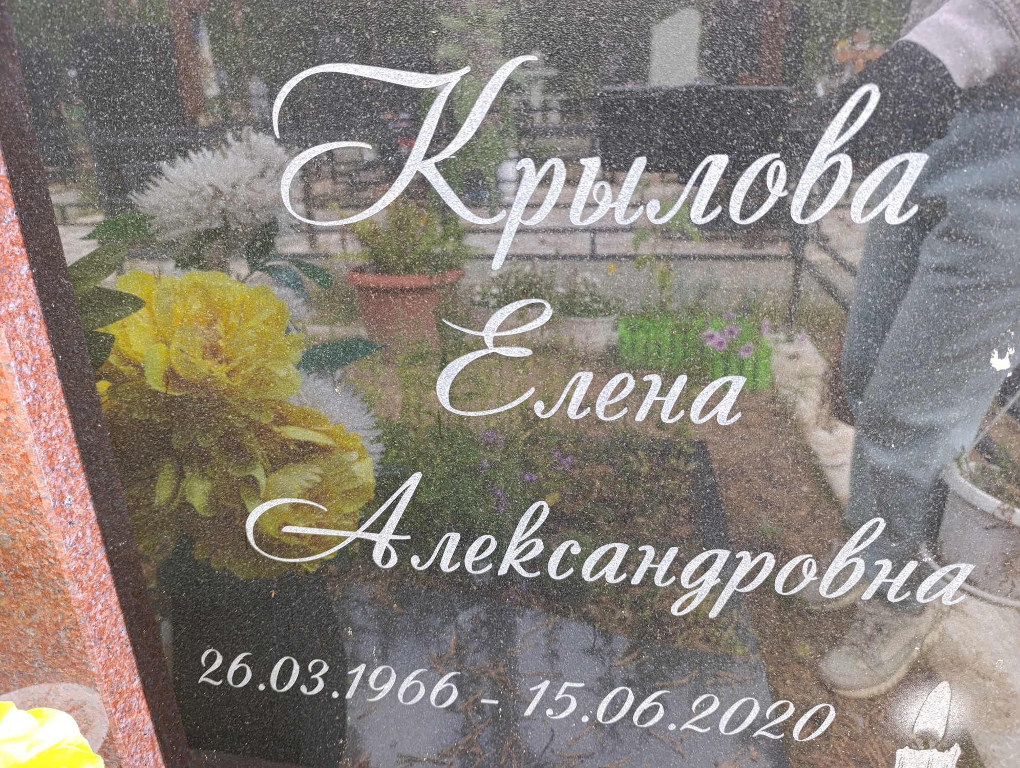 Крылова Елена Александровна