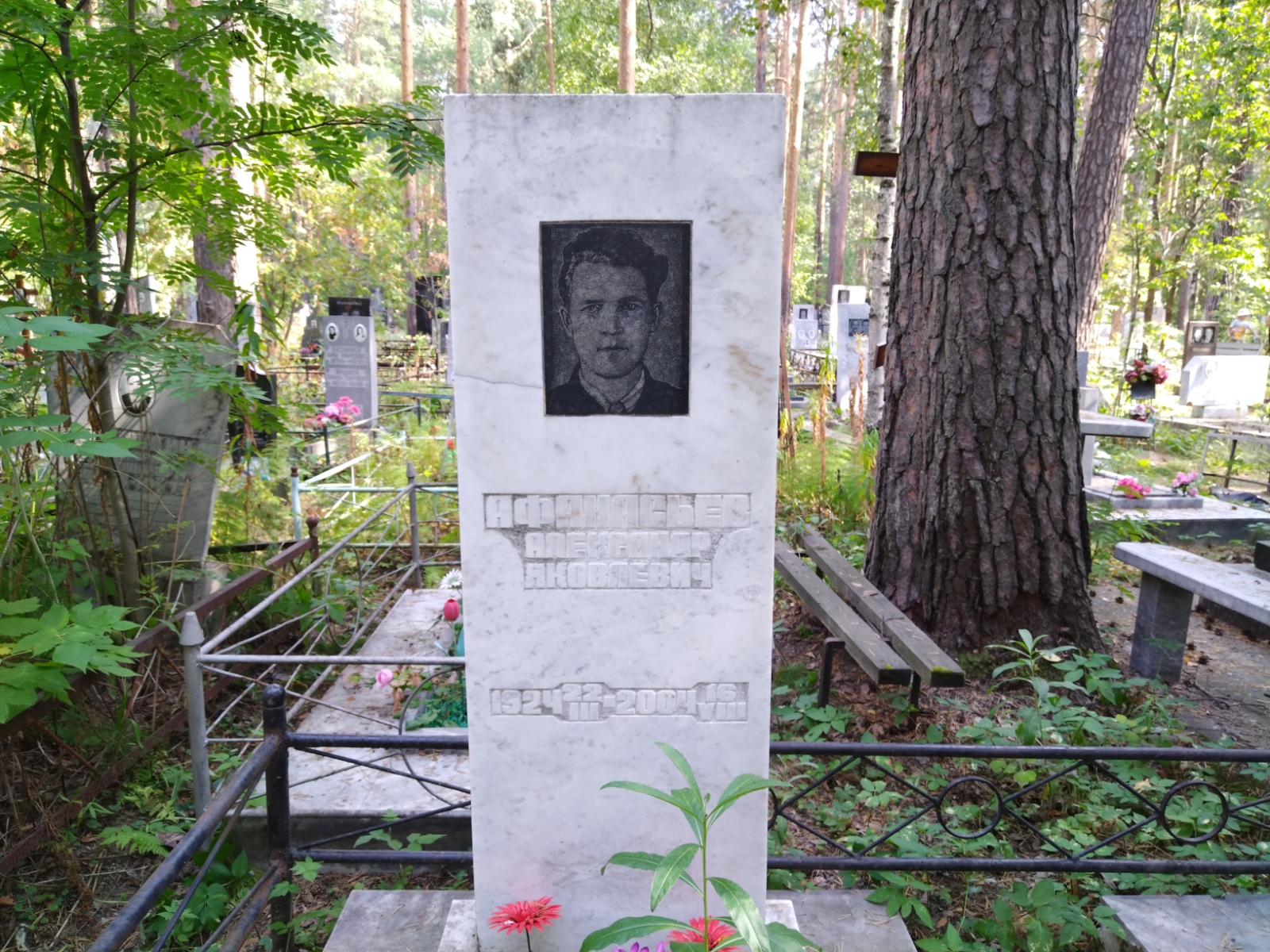 Афанасьев Александр Яковлевич