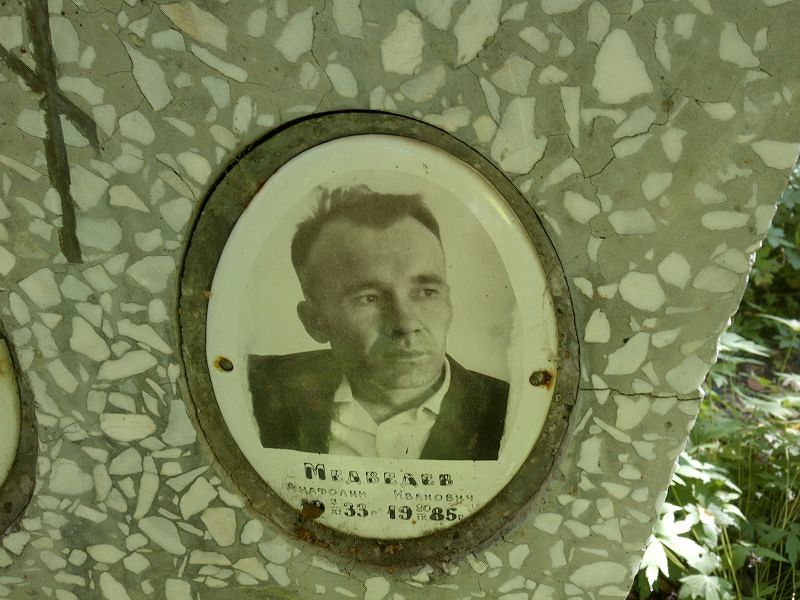 Медведев