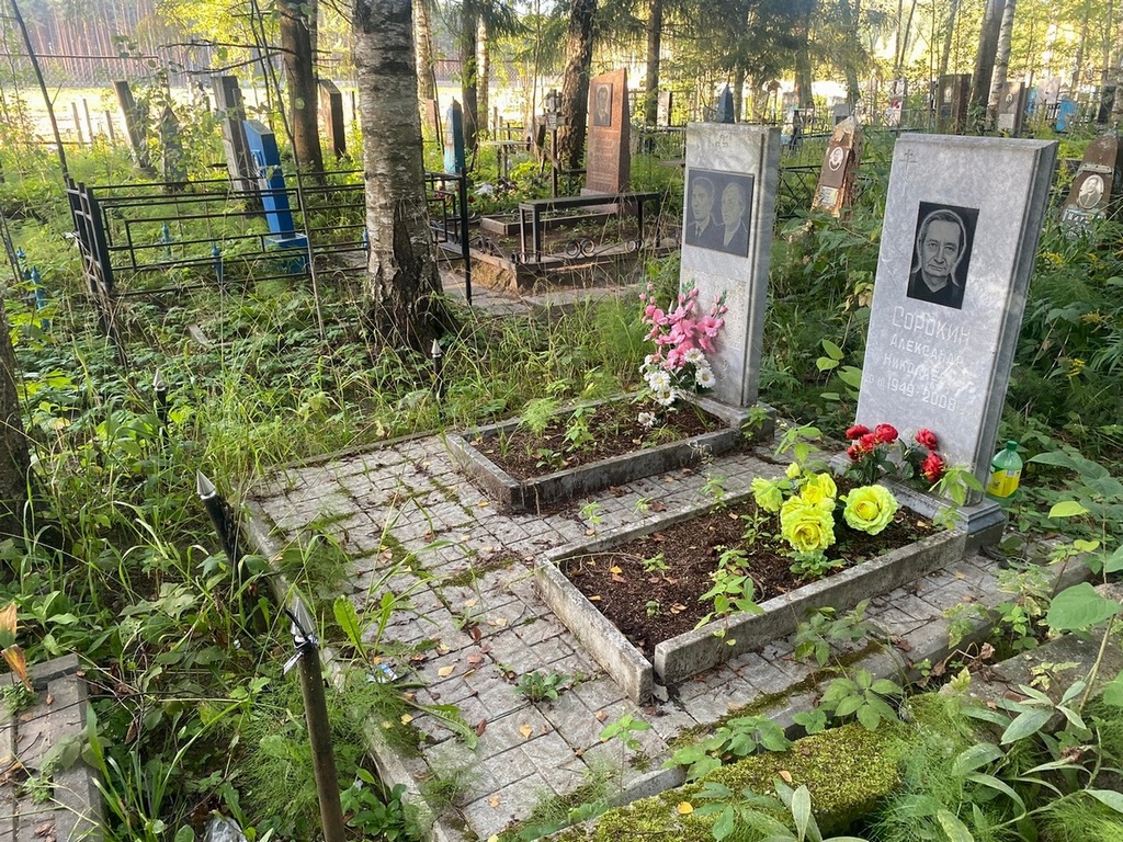 Сорокин Александр Николаевич