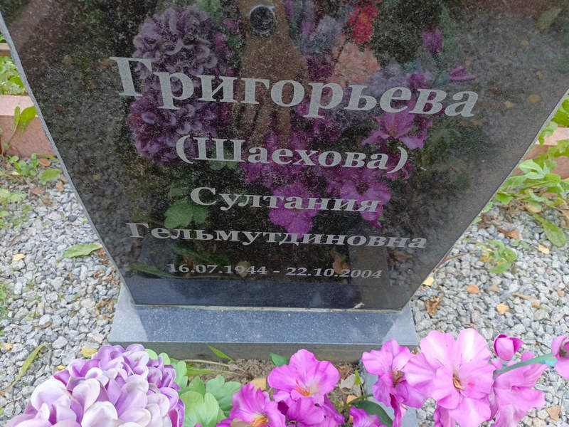 Шаехова Григорьева Султания