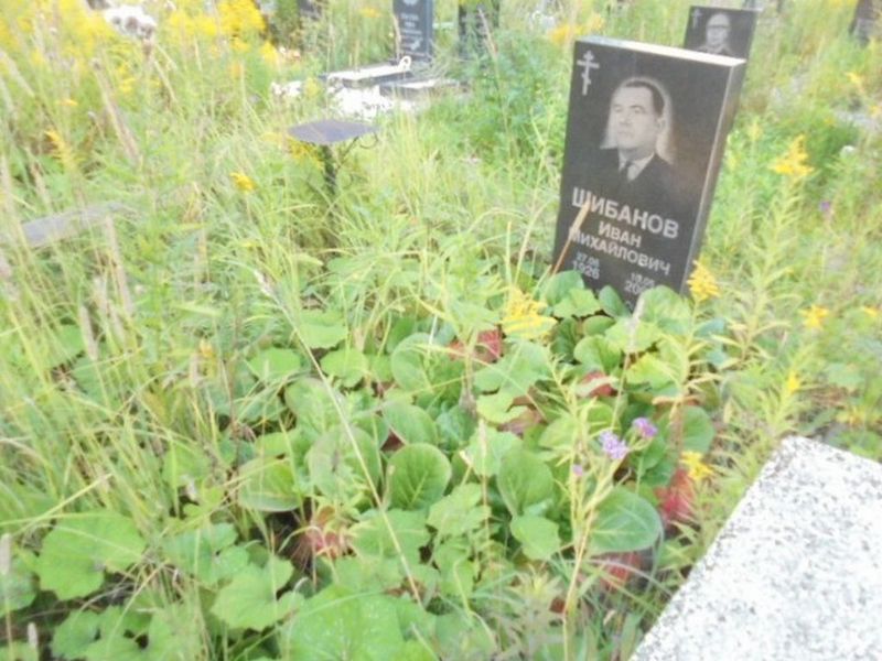 Шибанов Иван Михайлович
