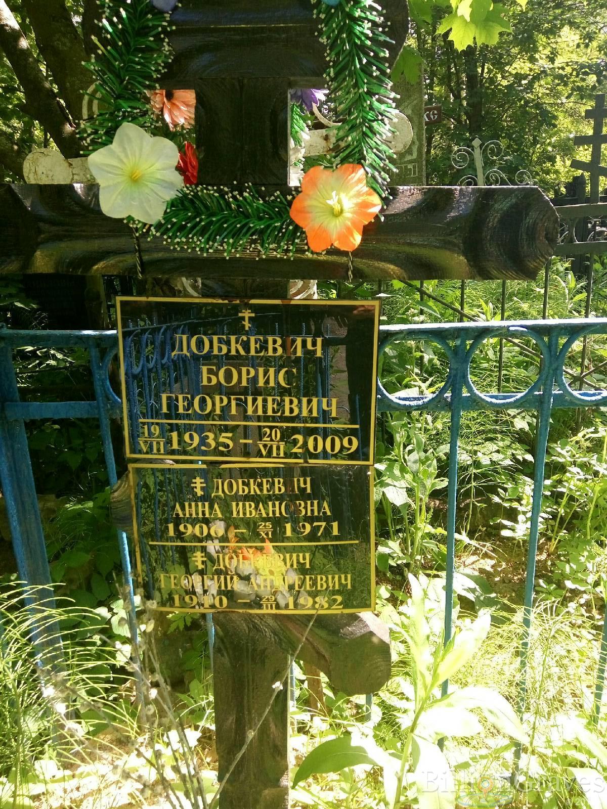 добкевич анна ивановна