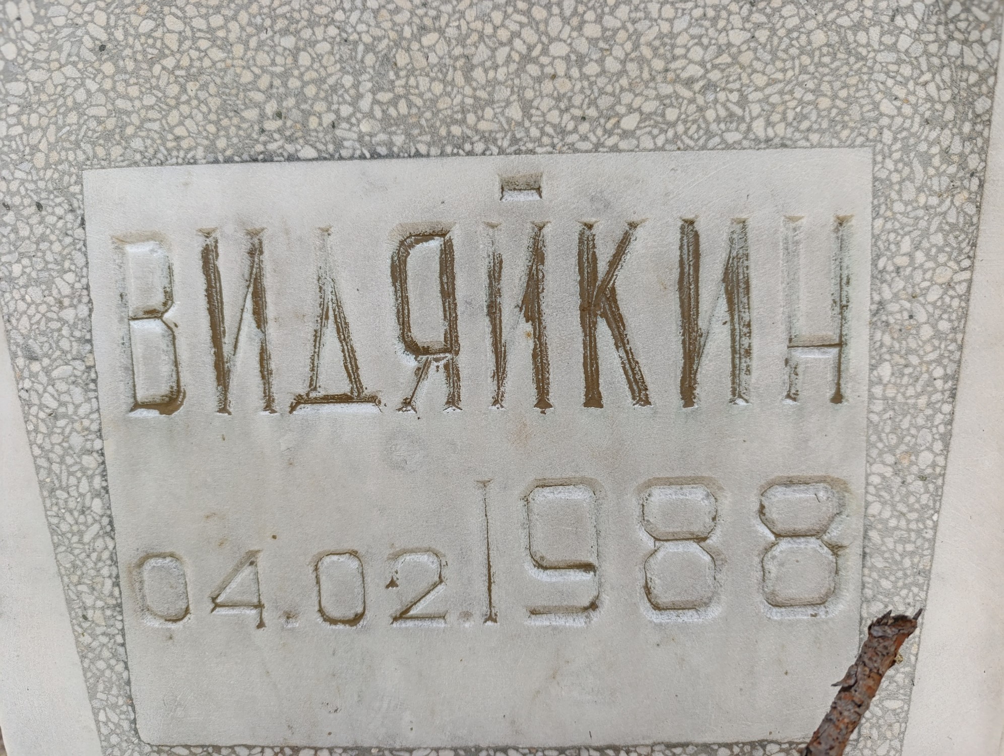 Видяйкин