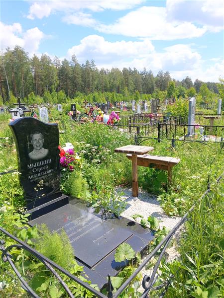 Мышкин Сергей Анатольевич