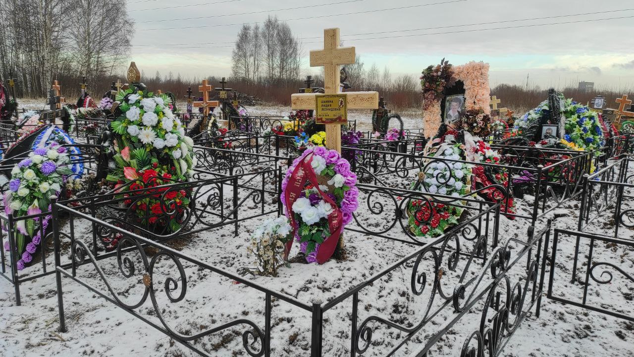 Шанина