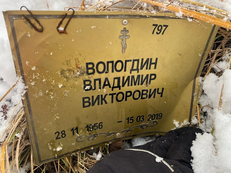 Вологдин