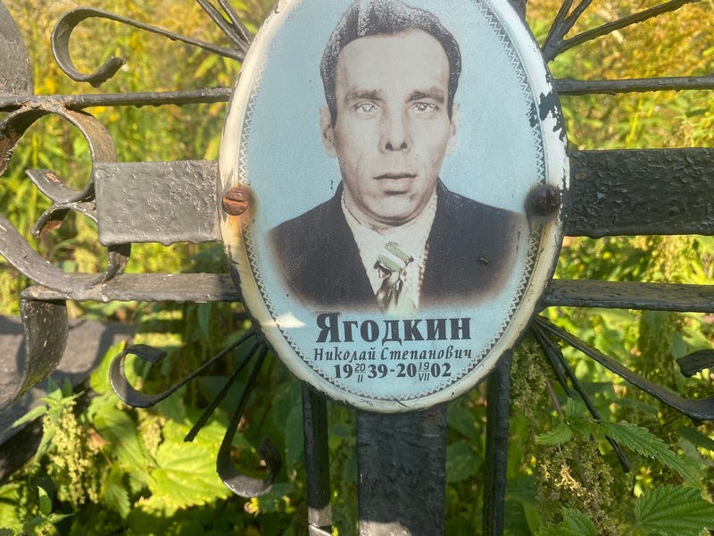 Ягодкин