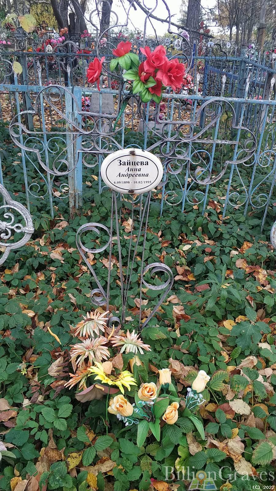 Зайцева Анна Андреевна