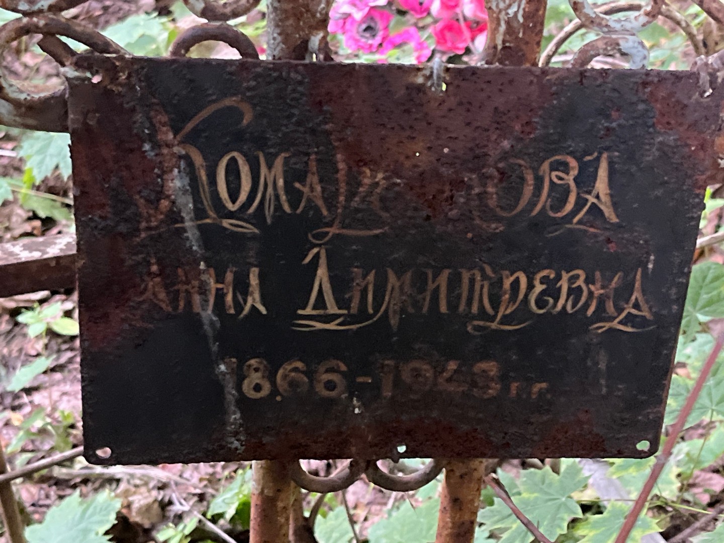 Комаркова