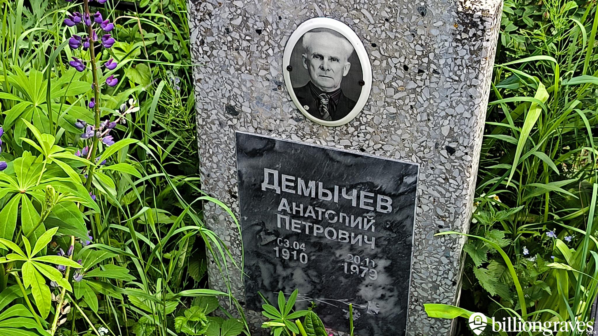 Демычев Анатолий Петрович