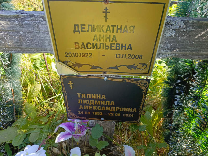 Деликатная
