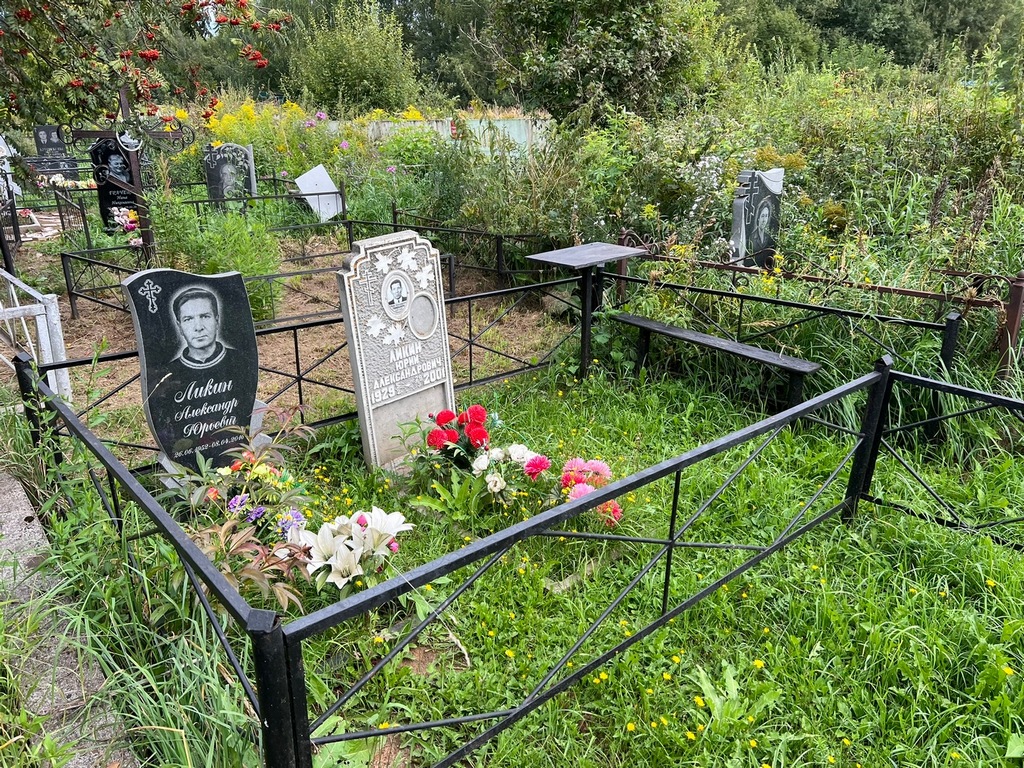 Ликин Александр Юрьевич
